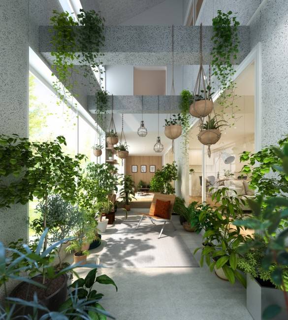 newcasasole_ク゛リーン_190724