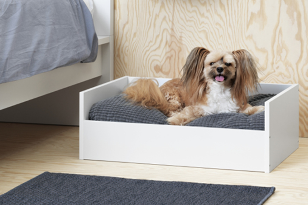 Ikeaが待望のペット用品を発売開始 リノベーションだから できる ブログ マキハウス